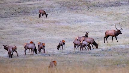 Farm Property for sale in Fergus County, Montana