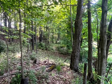 Farm Property for sale in Chenango County, New York