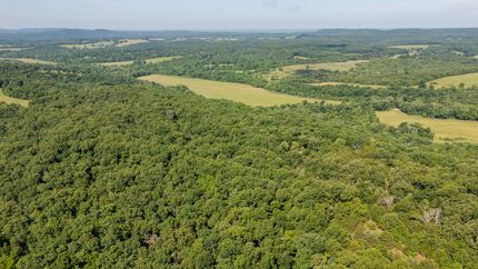 Farm Property for sale in Douglas County, Missouri