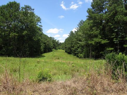 Recreational Property for sale in Jasper County, Mississippi