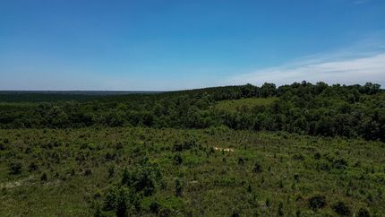 Timberland Property for sale in Stewart County, Georgia