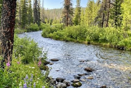 Commercial Property for sale in Albany County, Wyoming