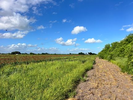 Farm Property for sale in Cameron County, Texas