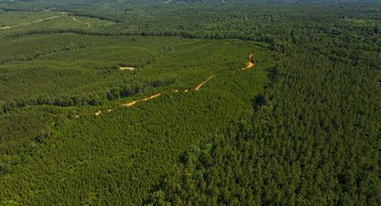 Farm Property for sale in Bibb County, Alabama