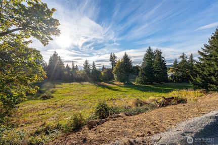 Undeveloped Land for sale in Lewis County, Washington