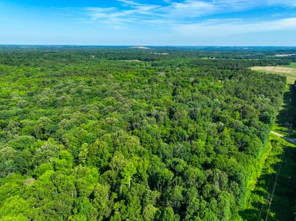 Undeveloped Land for sale in Ohio County, Kentucky