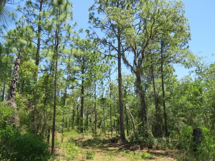 Farm Property for sale in Marion County, Florida