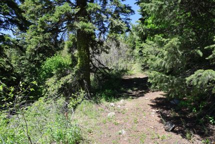 Residential Property for sale in Adams County, Idaho