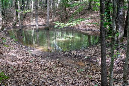 Farm Property for sale in Poinsett County, Arkansas