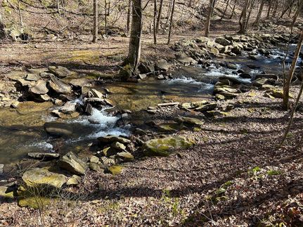 Farm Property for sale in Gilmer County, Georgia