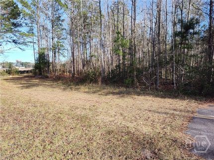 Ranch Property for sale in Chatham County, Georgia