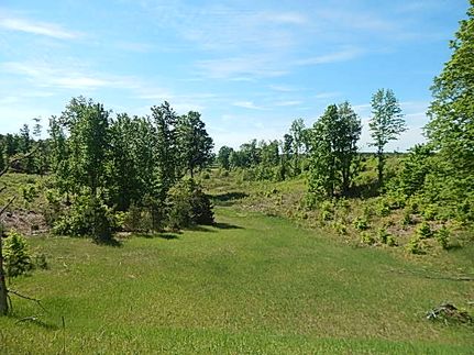 Timberland Property for sale in Wexford County, Michigan