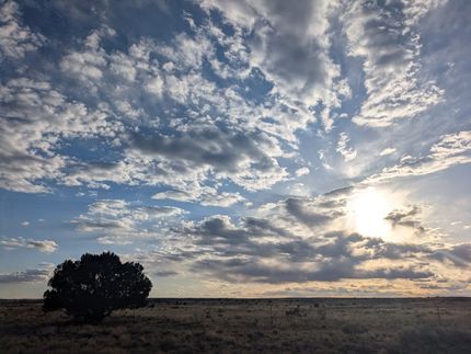 Farm Property for sale in Apache County, Arizona