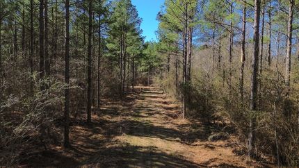 Farm Property for sale in Lowndes County, Mississippi