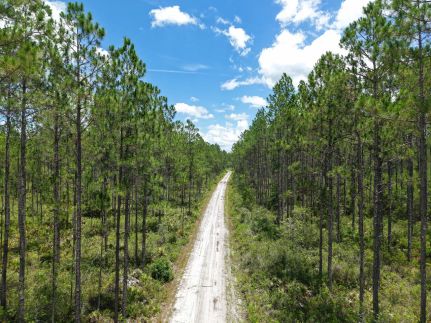 Farm Property for sale in Charlton County, Georgia