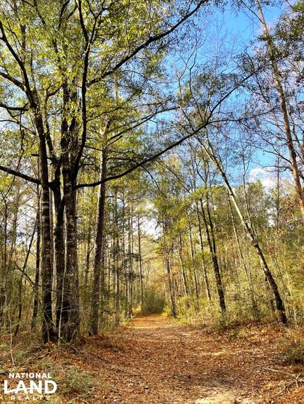 Ranch Property for sale in Baldwin County, Alabama