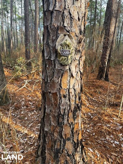 Ranch Property for sale in Baldwin County, Alabama