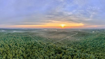Timberland Property for sale in Texas County, Missouri