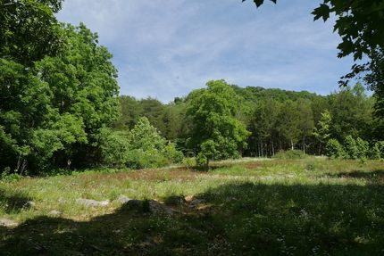 Farm Property for sale in Scott County, Virginia