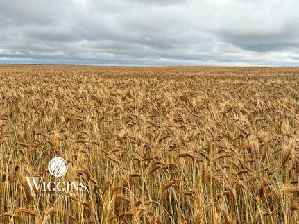 Undeveloped Land for sale in Garfield County, Oklahoma