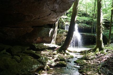 Farm Property for sale in Winston County, Alabama