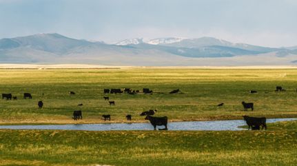 Ranch Property for sale in Judith Basin County, Montana