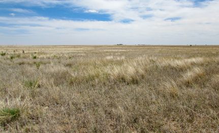 Farm Property for sale in Lamb County, Texas
