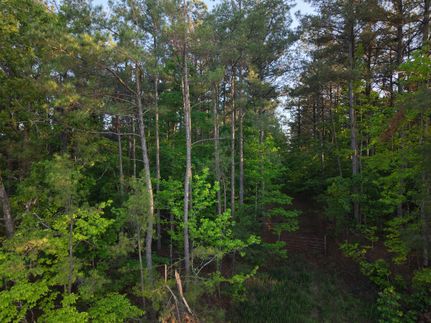 Ranch Property for sale in Choctaw County, Mississippi