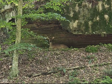 Farm Property for sale in Greene County, Indiana