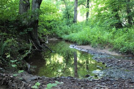 Farm Property for sale in Morgan County, Kentucky