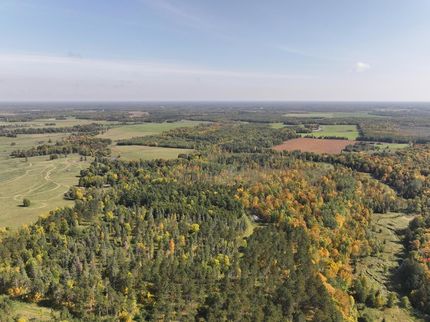 Farm Property for sale in Beltrami County, Minnesota