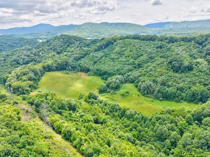 Ranch Property for sale in Smyth County, Virginia