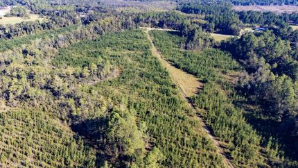 Farm Property for sale in Holmes County, Florida