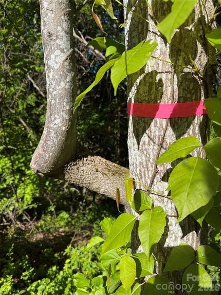 Recreational Property for sale in Haywood County, North Carolina