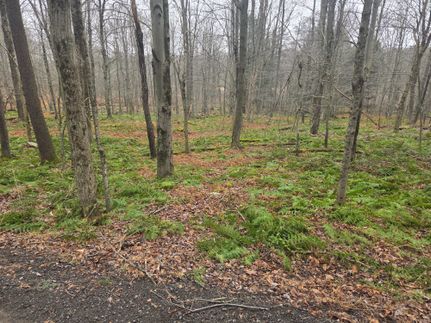 Ranch Property for sale in Wayne County, Pennsylvania