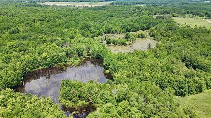 Ranch Property for sale in Clare County, Michigan
