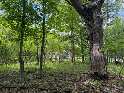 Farm Property for sale in Livingston County, New York