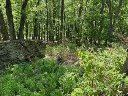 Ranch Property for sale in Sullivan County, New York