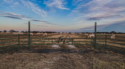 Ranch Property for sale in Cooke County, Texas