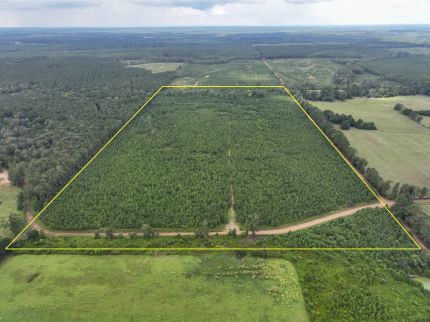 Ranch Property for sale in Sabine Parish, Louisiana