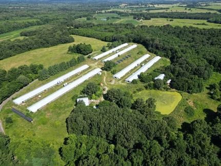 Farm Property for sale in Crittenden County, Kentucky