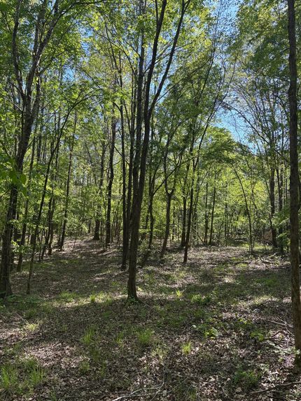 Farm Property for sale in Pontotoc County, Mississippi