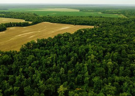 Recreational Property for sale in Jefferson County, Mississippi