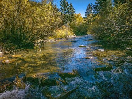 Farm Property for sale in Taos County, New Mexico