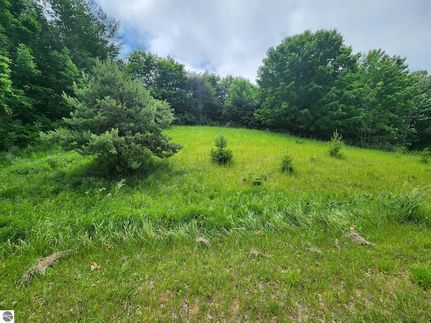 Undeveloped Land for sale in Benzie County, Michigan