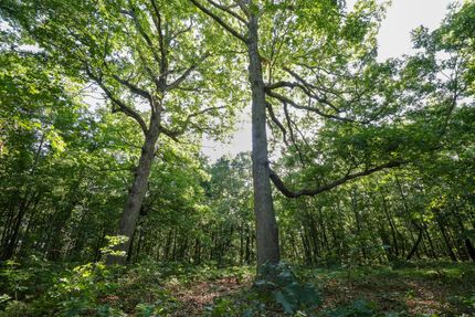 Recreational Property for sale in Barry County, Missouri
