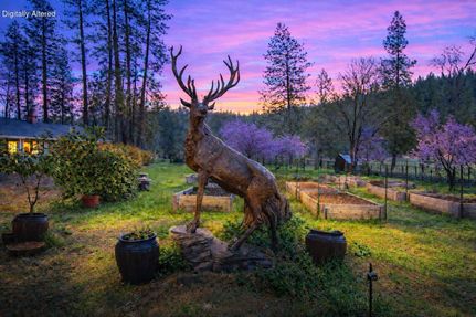 Farm Property for sale in Shasta County, California