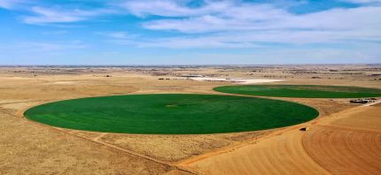Farm Property for sale in Roosevelt County, New Mexico