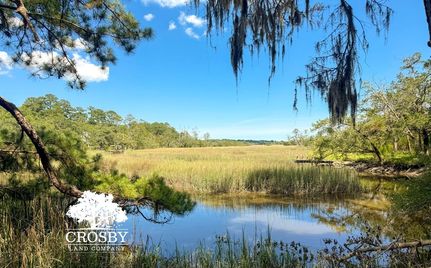 Ranch Property for sale in McIntosh County, Georgia