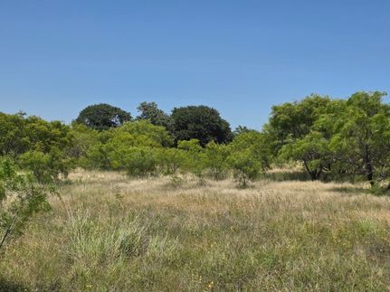 Recreational Property for sale in Eastland County, Texas